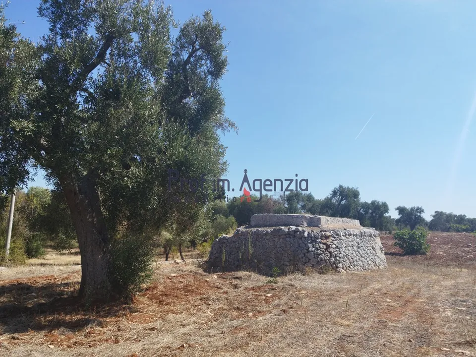 Landejendom i Carovigno, Brindisi - foto 4
